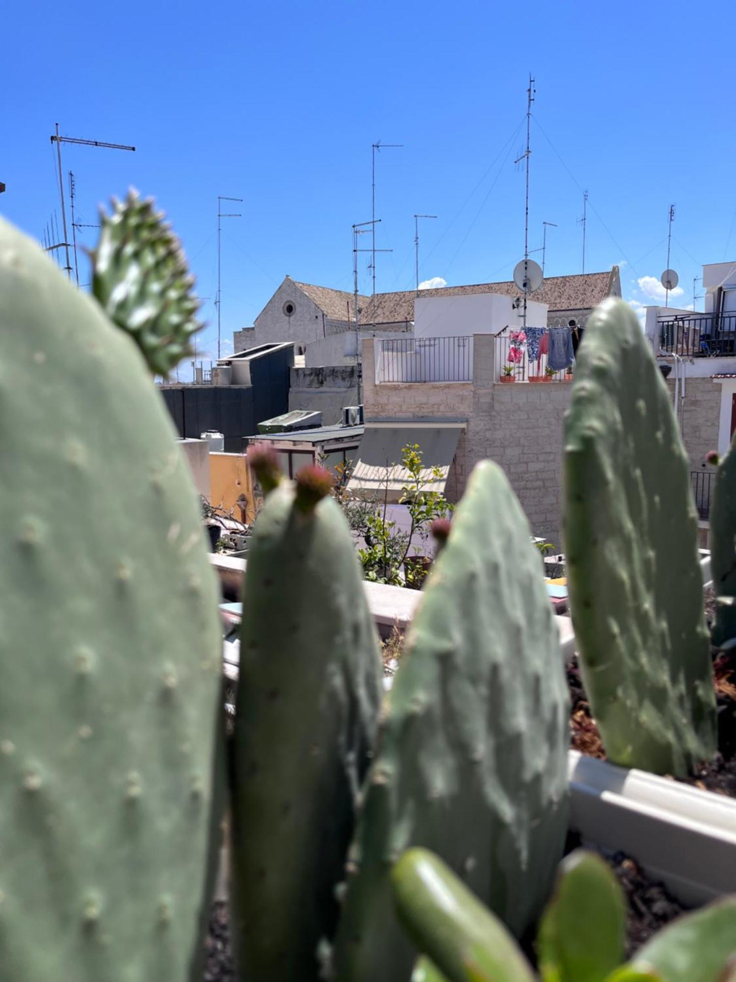 Casa Franca - Terracielo A Bari Vecchia Villa Dış mekan fotoğraf