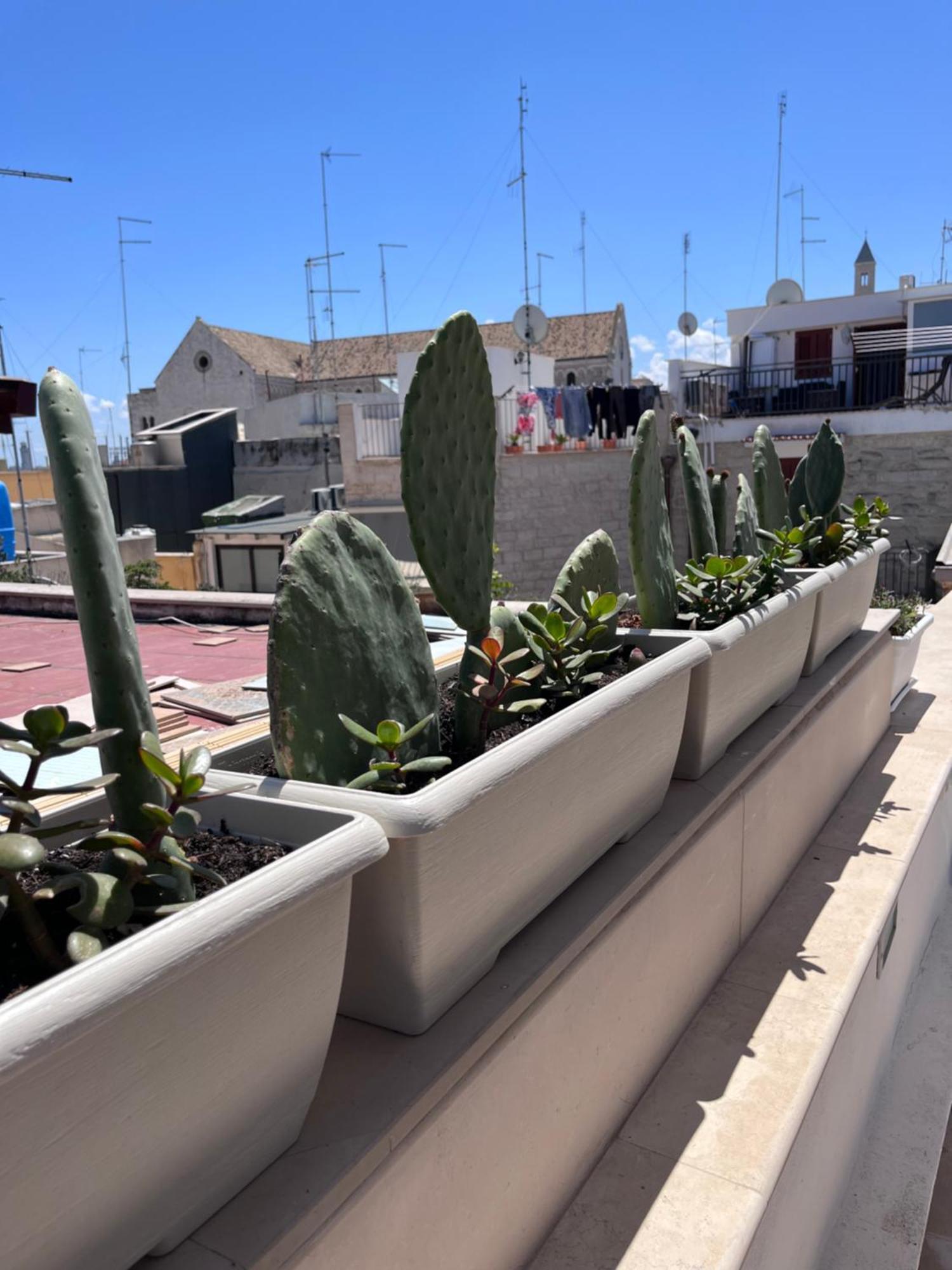 Casa Franca - Terracielo A Bari Vecchia Villa Dış mekan fotoğraf